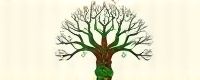 yggdrasil